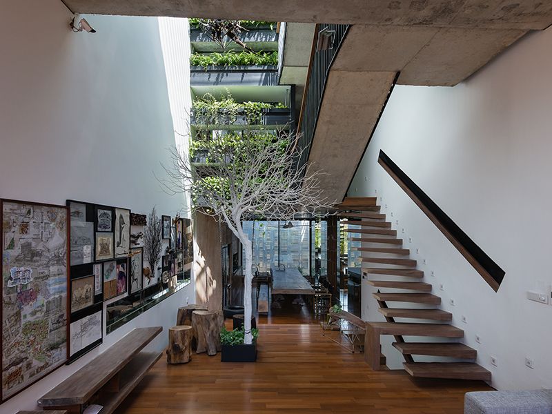 M HOUSE